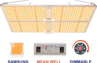 4량 자판식물생장등